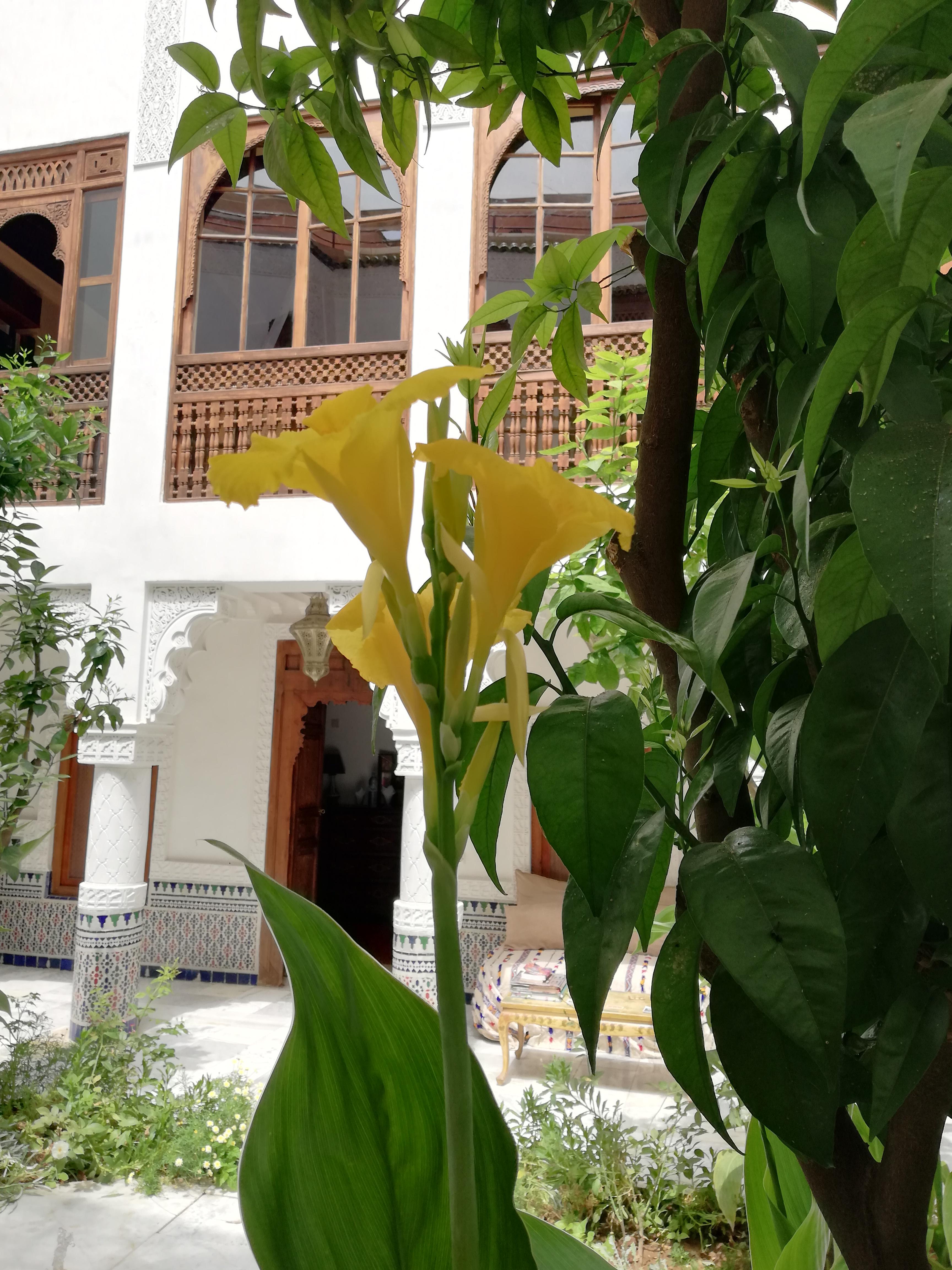 Riad Ben Youssef Marrakesh Exterior foto